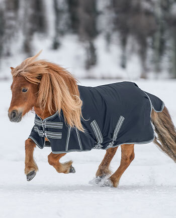 Pony- & Fohlendecken