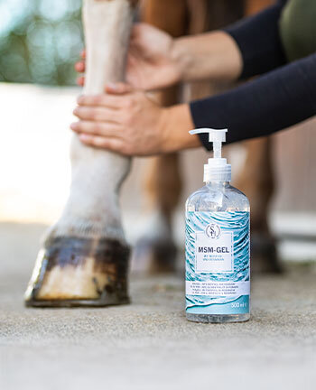 Sehnen, Bänder & Gelenke Sehnen, Bänder & Gelenke