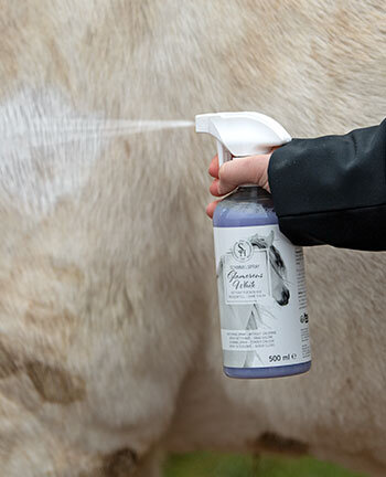 Shampoos & Trockenshampoos Shampoos & Trockenshampoos