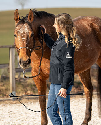 Horsemanship & Bodenarbeit Horsemanship & Bodenarbeit