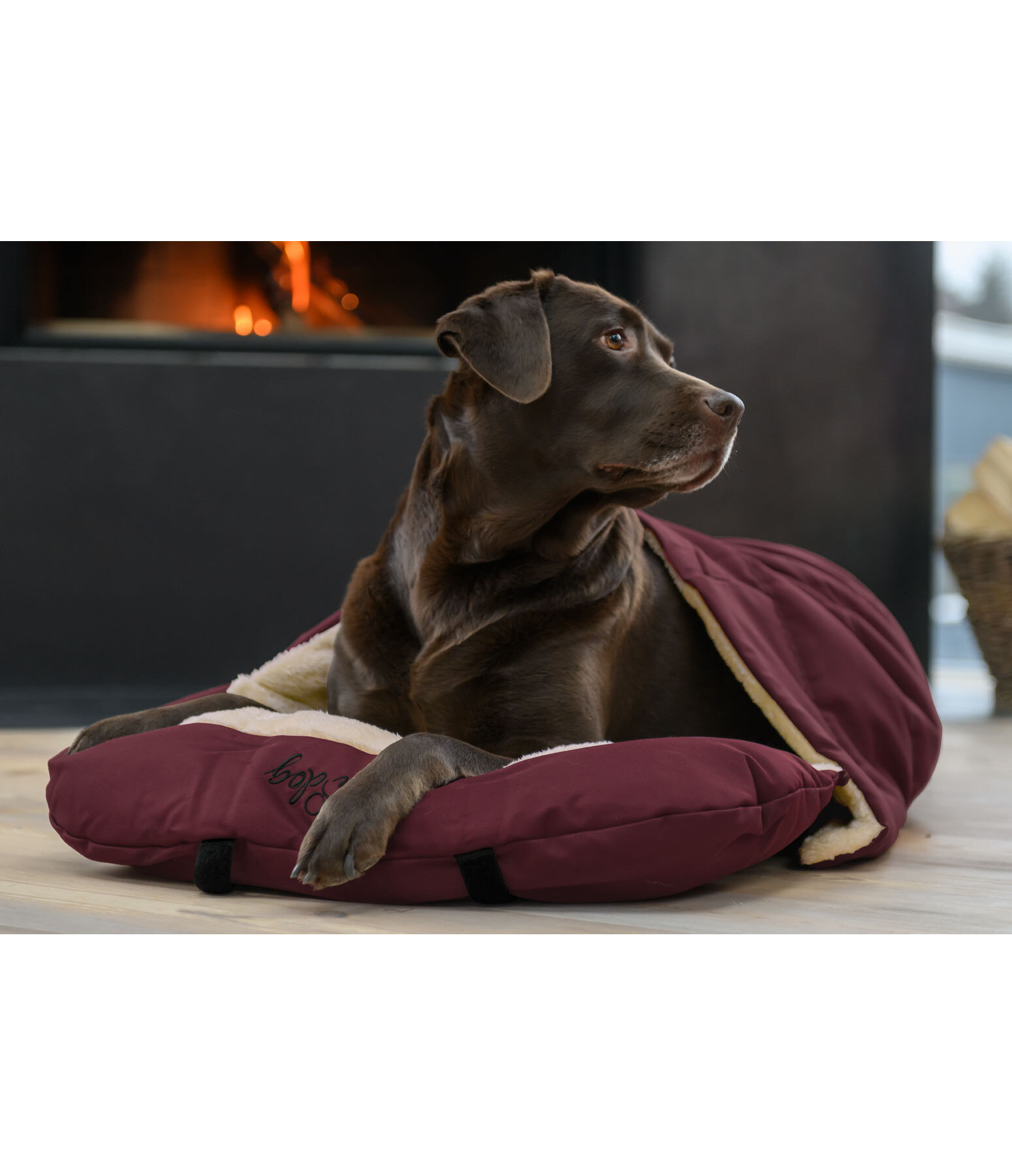 Hunde-Schlafsack Sirius