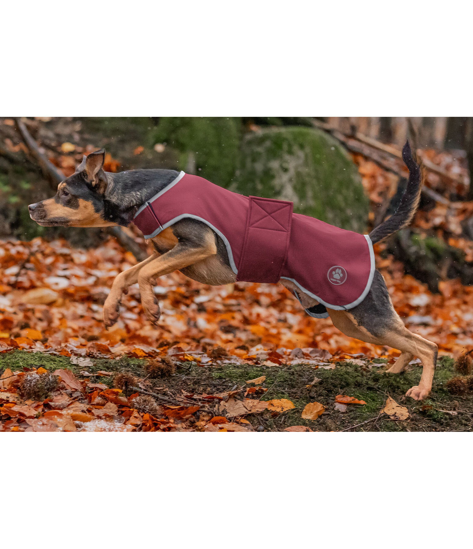 Softshell-Hundewalker Athlete, 0 g