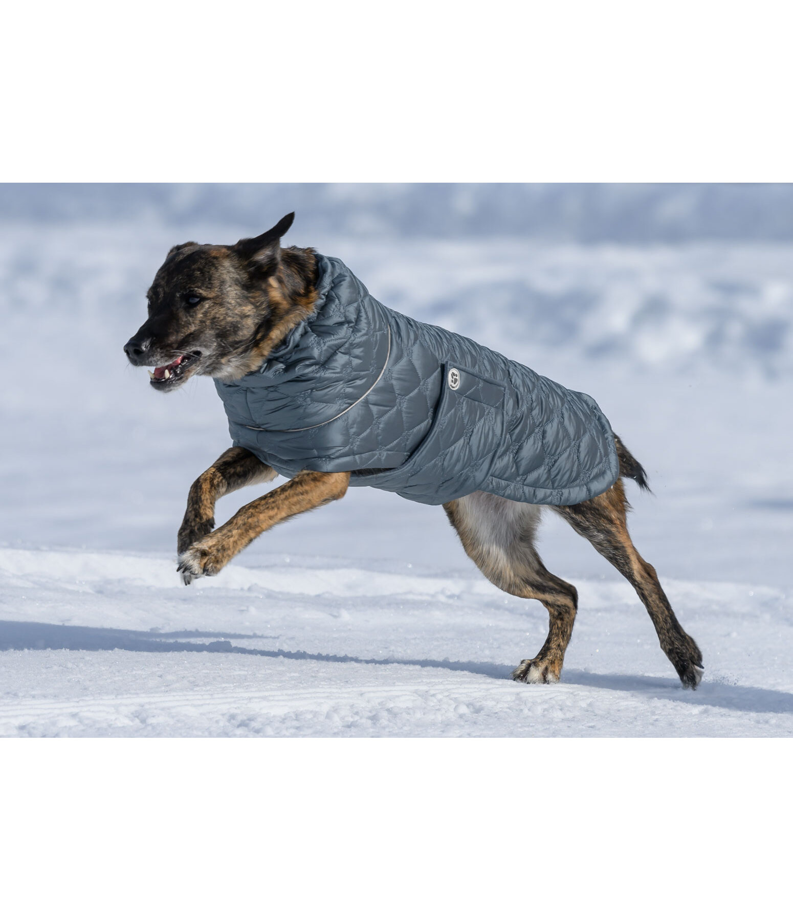 Lightweight Hunde-Steppjacke Cliff mit Fleecelining, 200 g