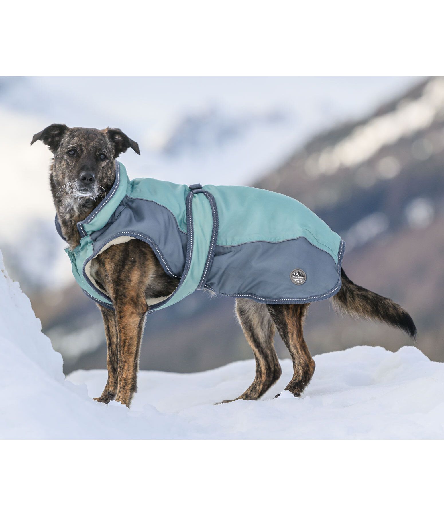 Winter-Hundemantel Glacier Bay mit Teddyfleece-Innenfutter, 100 g