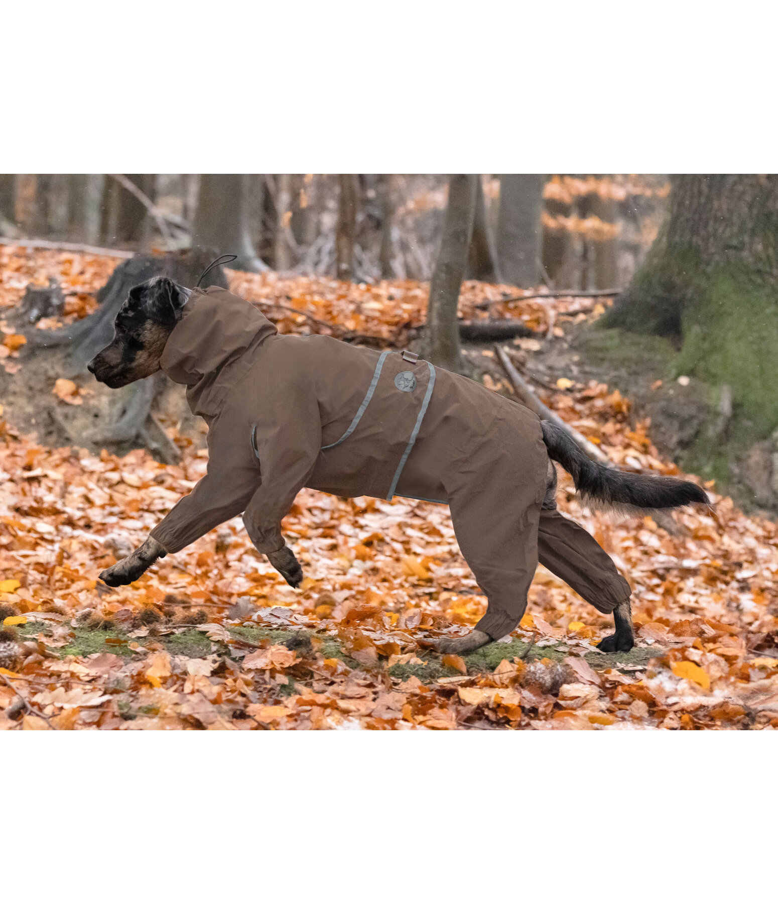 Allover-Hunde-Regenjacke Sequoia II, 0 g