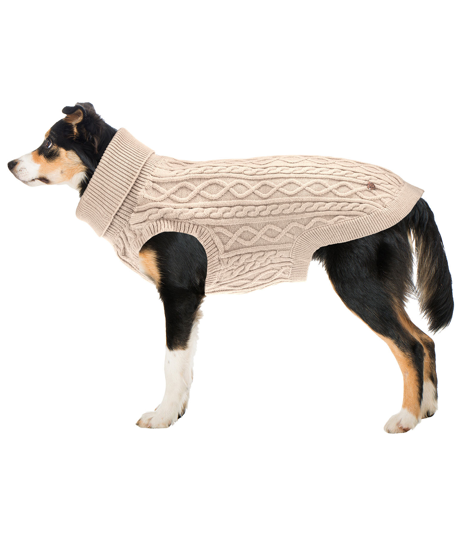 Hunde-Rollkragenpullover Maisie