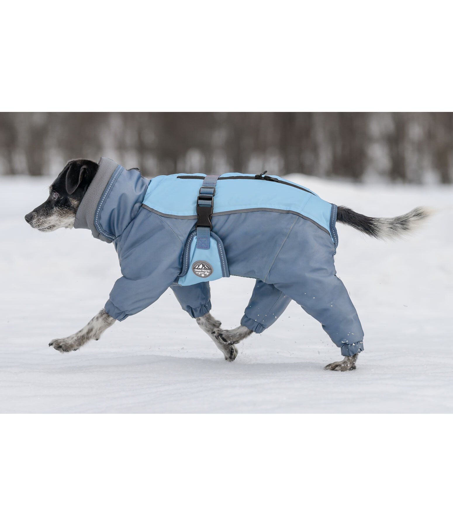 Schnee-Overall Mount Whistler fr Hunde, 120 g