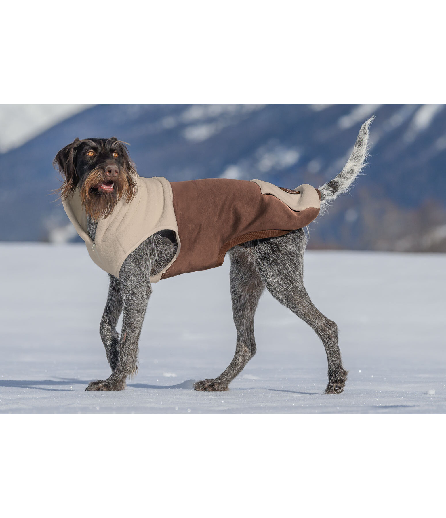 Sherpa-Hunde-Hoodie Sawyer