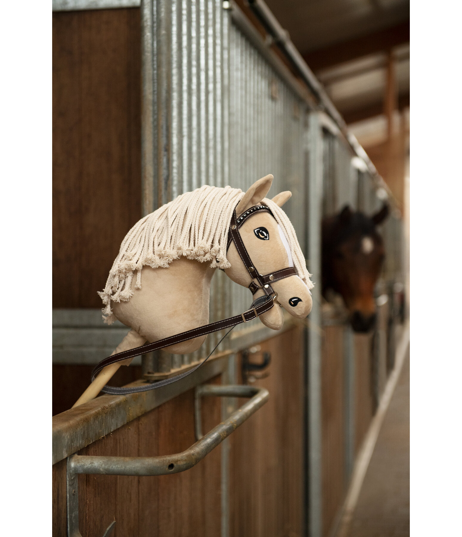 SH Hobby Horse Jumper