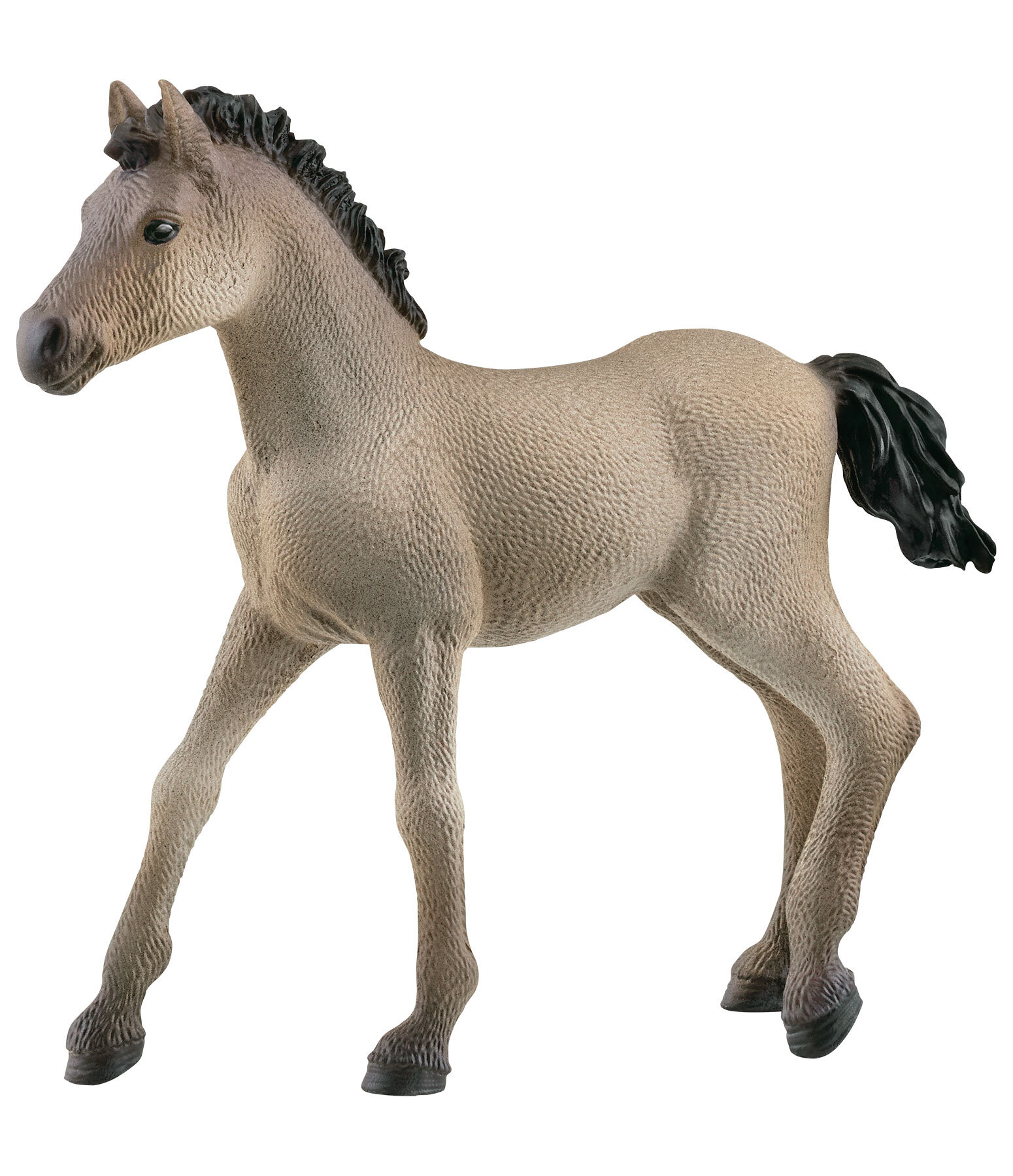 Schleich Criollo Definitivo Fohlen