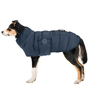 sugar dog LED-Hunde-Steppjacke Arlo, 300 g - 231203-M-NV