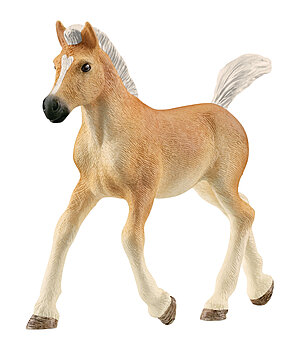 schleich Schleich Haflinger Fohlen - 621914