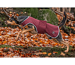 Softshell-Hundewalker Athlete, 0 g