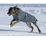 Lightweight Hunde-Steppjacke Cliff mit Fleecelining, 200 g