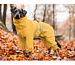 Allover-Hunde-Regenjacke Sequoia II, 0 g