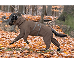 Allover-Hunde-Regenjacke Sequoia II, 0 g