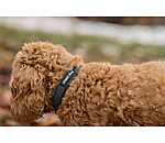 Waterproof Hundehalsband Mable