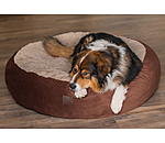 Memory Foam Hundebett Quincy