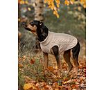 Hunde-Rollkragenpullover Maisie