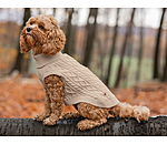 Hunde-Rollkragenpullover Maisie