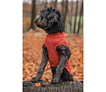 Hunde-Rollkragenpullover Maisie