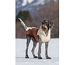 Sherpa-Hunde-Hoodie Sawyer