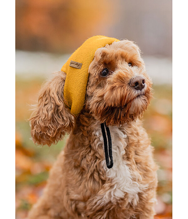 Hunde-Beanie Evin