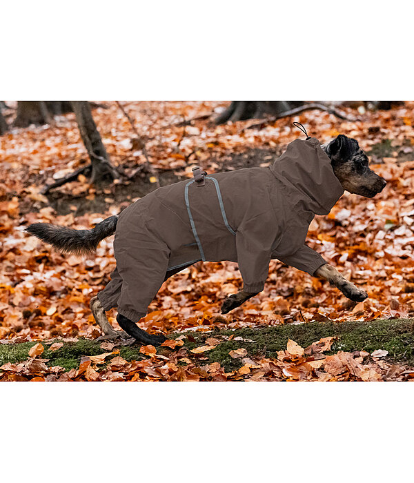 Allover-Hunde-Regenjacke Sequoia II, 0 g