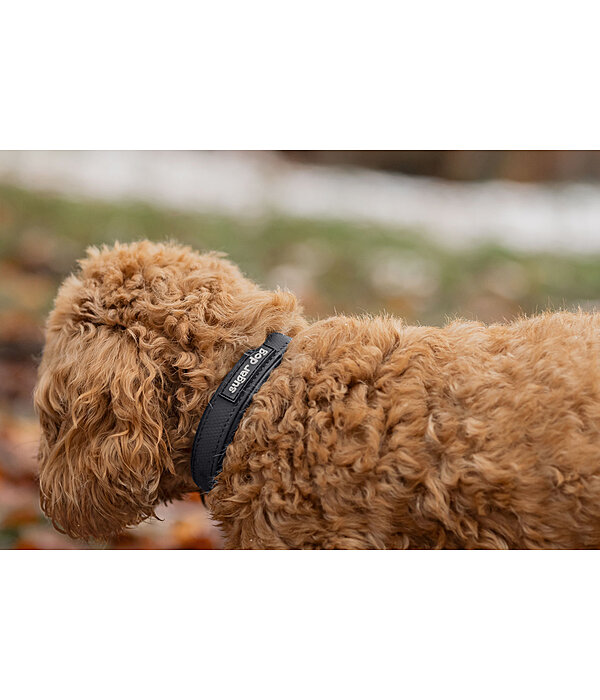 Waterproof Hundehalsband Mable