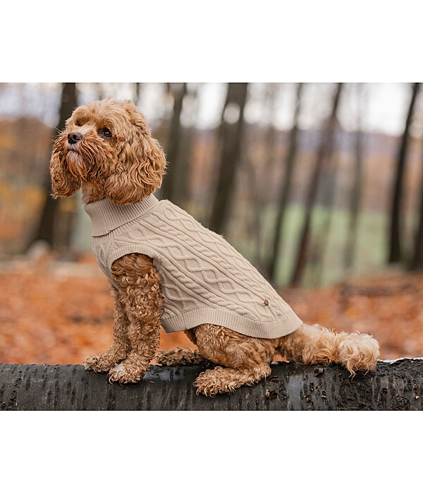 Hunde-Rollkragenpullover Maisie