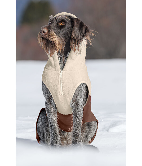 Sherpa-Hunde-Hoodie Sawyer