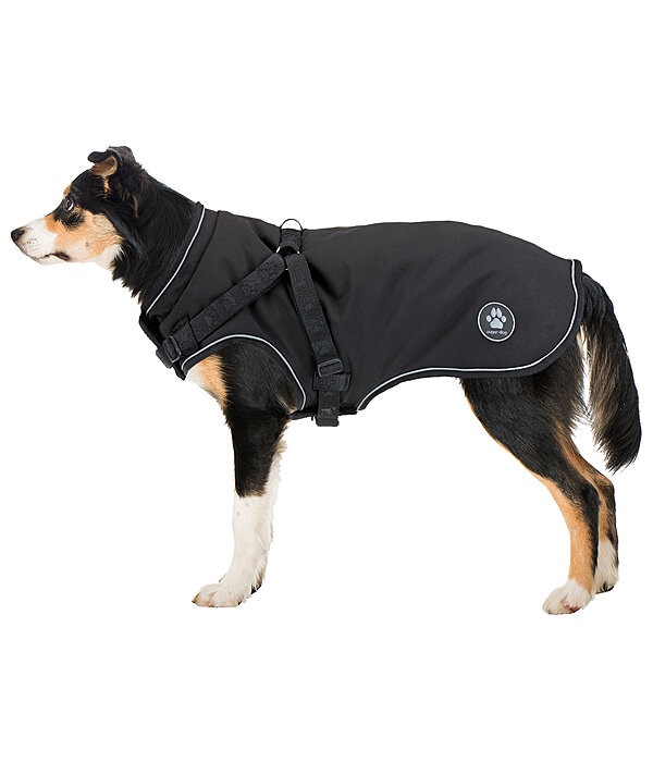 Softshell-Hundemantel Cruz mit integriertem Geschirr, 160 g