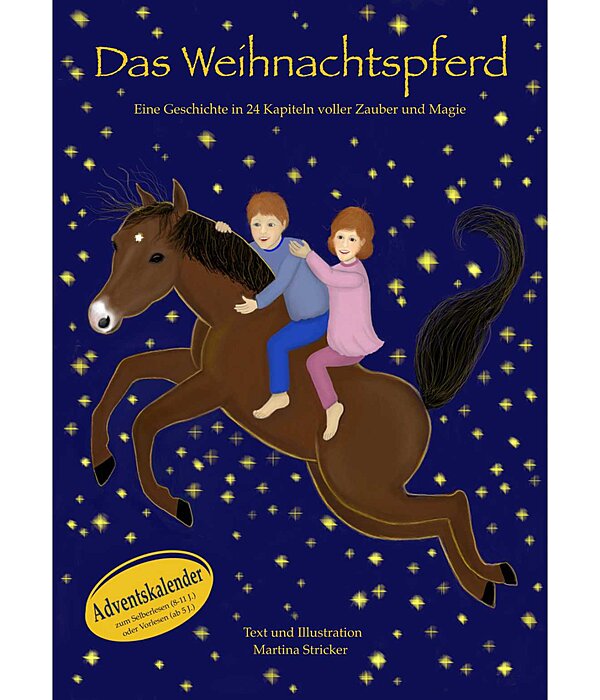 Adventskalender-Kinderbuch, Das Weihnachtspferd