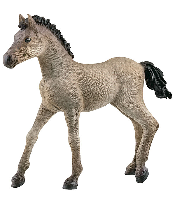 Schleich Criollo Definitivo Fohlen